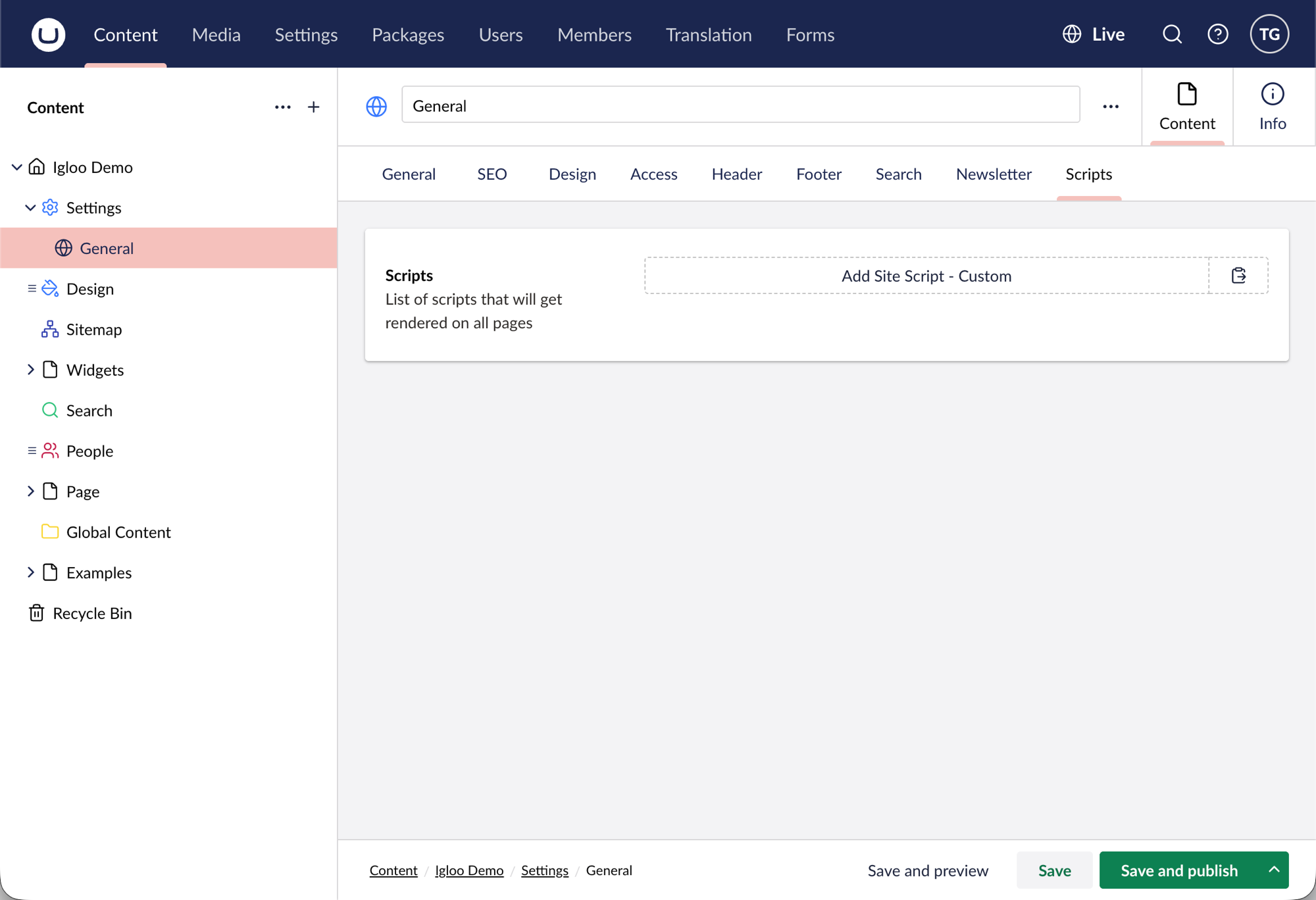 The Scripts tab under Settings → General, with the Add Site Script - Custom button